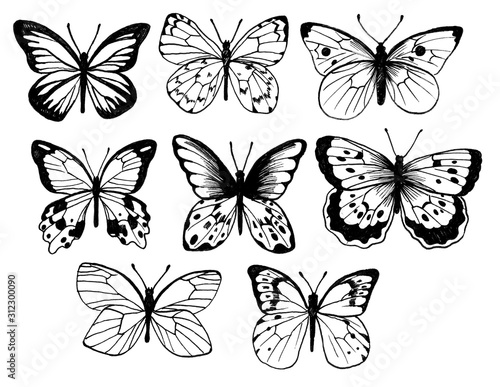 Butterflies. Vintage elegant black ink set. Delicate print design. © Natali Southern