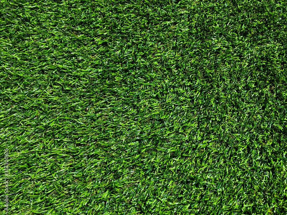 Fototapeta premium Beautiful green grass texture use as natural background for design in outdoor