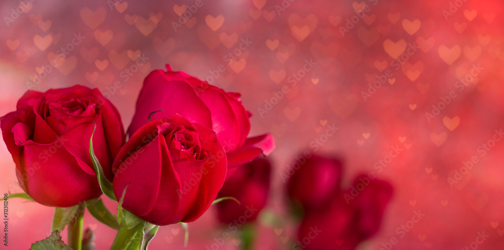Roses with heart bokeh light background. Backgrounds for special days ( Valentine's Day, Wedding anniversary, Mother's Day, Women's Day, birthday and dating day ) Roses with heart bokeh light background. Backgrounds for special days ( Valentine's Day, Wedding anniversary, Mother's Day, Women's Day, birthday and dating day )