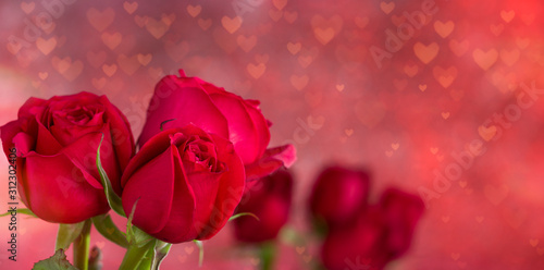 Roses with heart bokeh light background