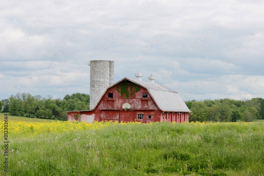 Barn Barn