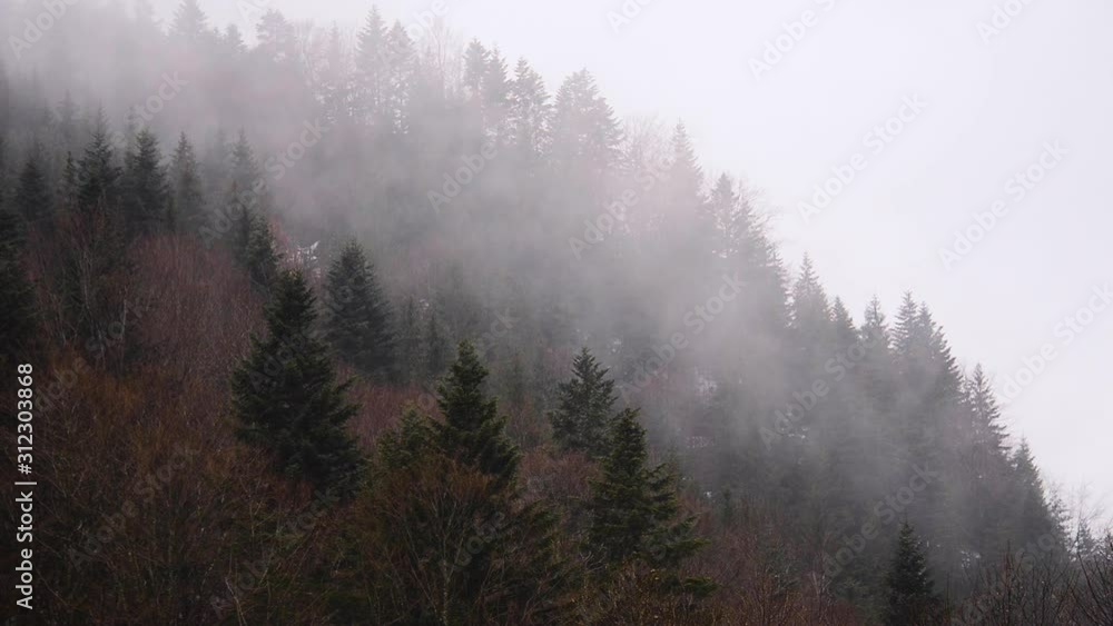 Carpathian Mountain, Ukraine Carpathian Mountain, Ukraine