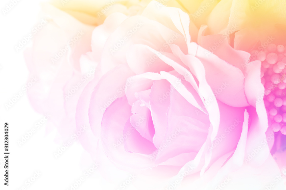 Sweet color roses made with gradient in soft style for abstract background