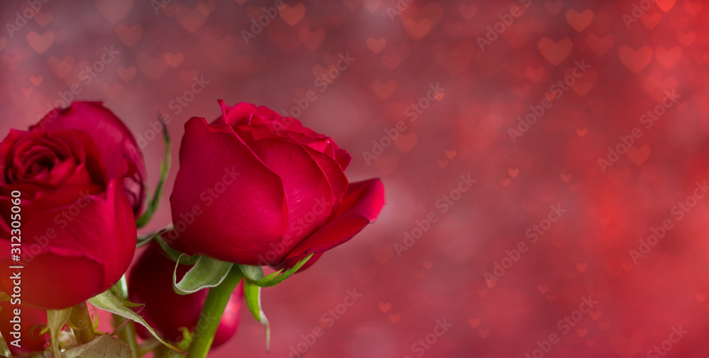 Roses with heart bokeh light background. Backgrounds for special days ( Valentine's Day, Wedding anniversary, Mother's Day, Women's Day, birthday and dating day )