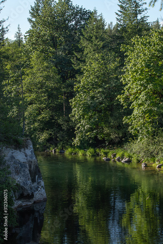 Fototapeta Naklejka Na Ścianę i Meble -  water flowing along green river in washington state in forest
