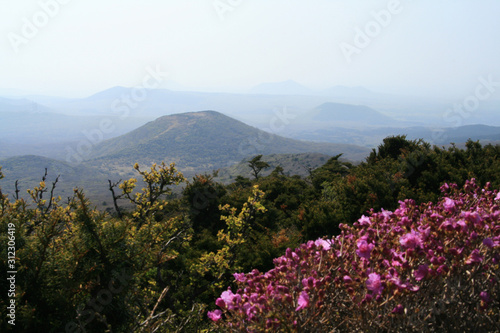 the spring of Mt. Halla