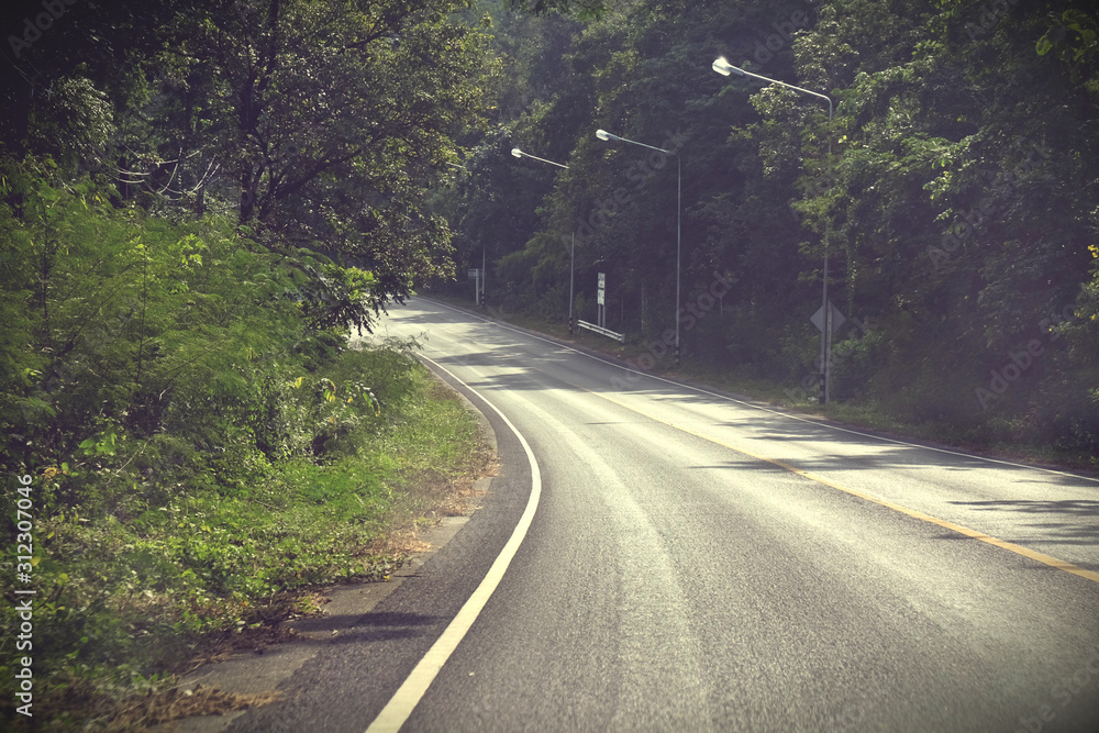 Asphalt road through the forest, natural background Asphalt road through the forest, natural background
