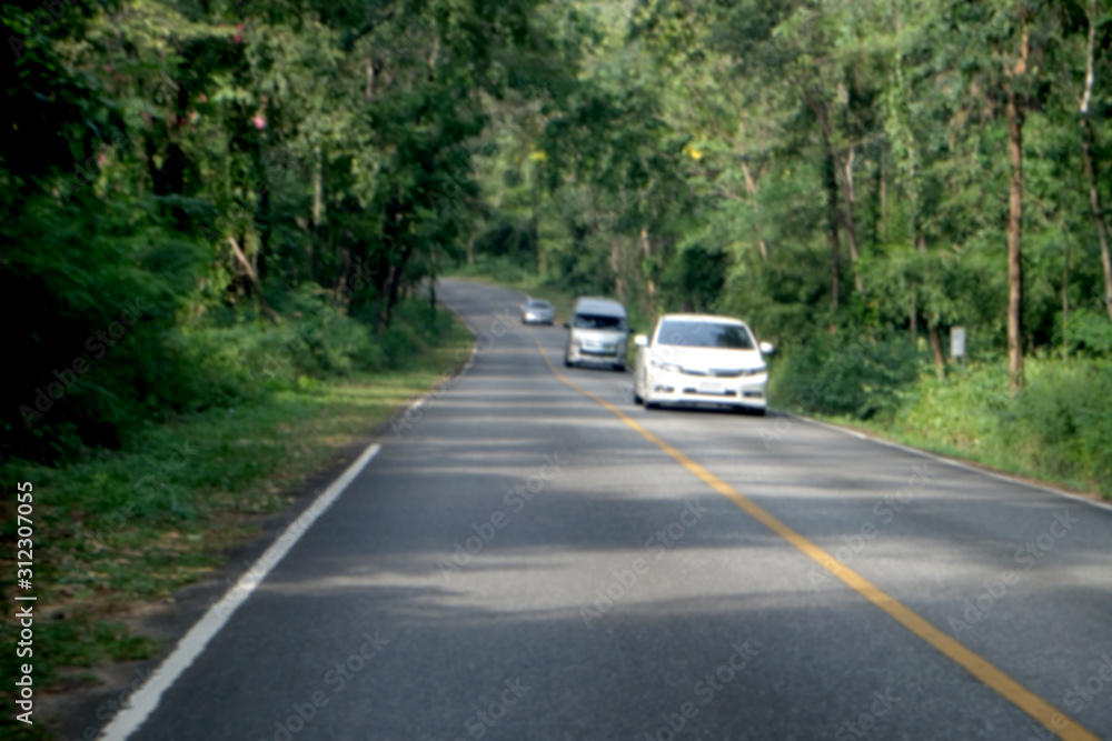 Asphalt road through the forest, blur natural background