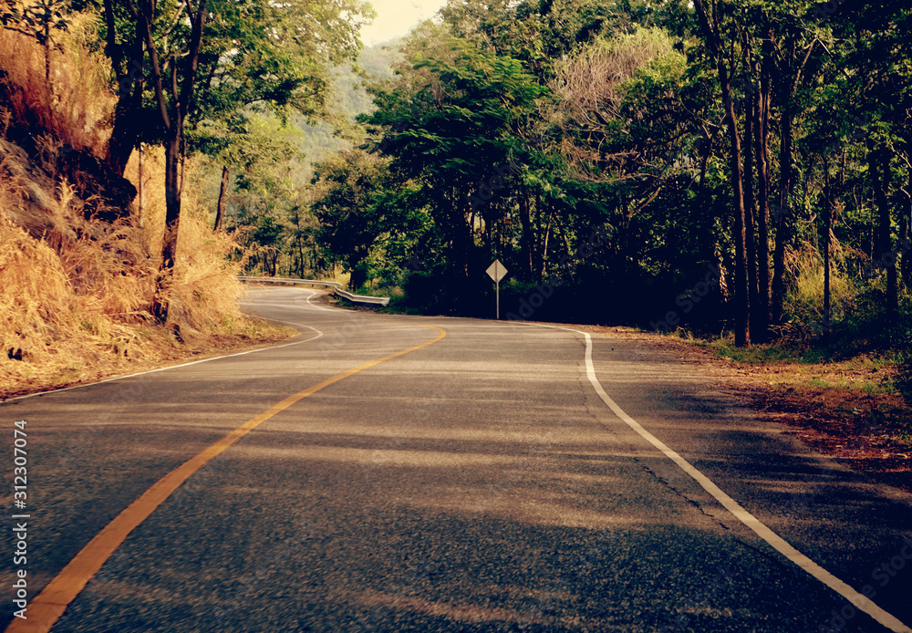 Fototapeta premium Asphalt road through the forest, natural background