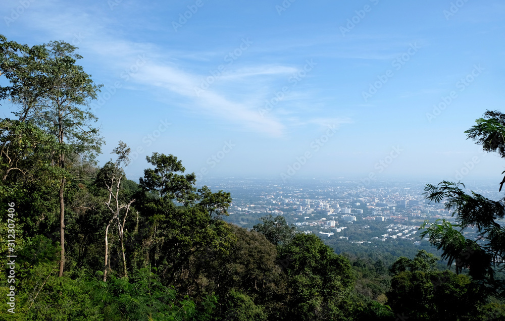 tree on the mountain at sunset sky cloud light sun landscape with view city skyscape background tree on the mountain at sunset sky cloud light sun landscape with view city skyscape background
