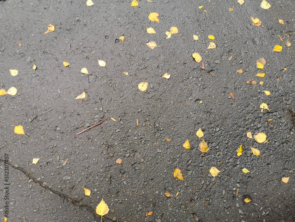 Yellow leaves on the pavement as a background Yellow leaves on the pavement as a background