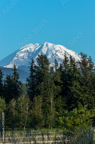 mount rainier rising over forest and farm land