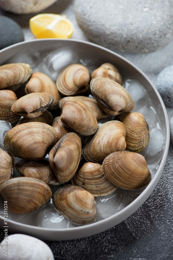 Closeup of raw iced uncooked vongole in a round grey plate, vertical shot, selective focus Closeup of raw iced uncooked vongole in a round grey plate, vertical shot, selective focus