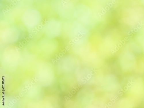 green bokeh leaves background