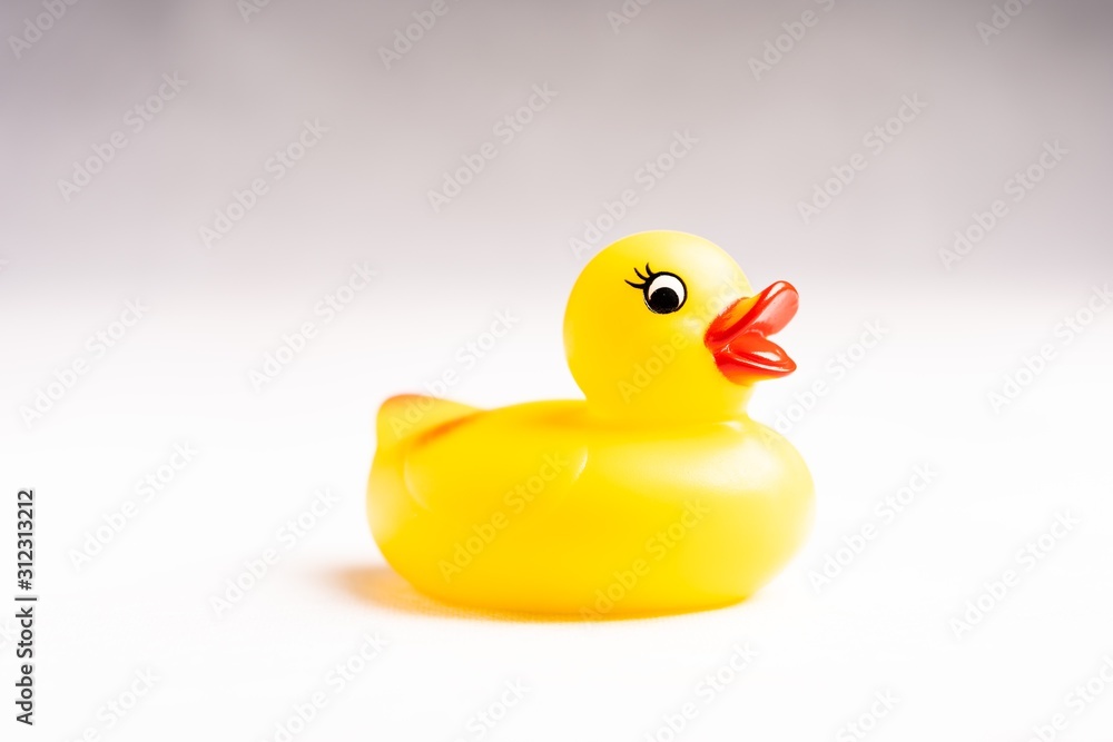 Yellow Rubber Duck isolated against white Yellow Rubber Duck isolated against white
