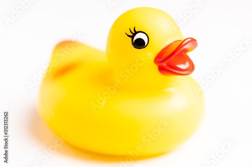 Fotografie Yellow Rubber Duck isolated against white