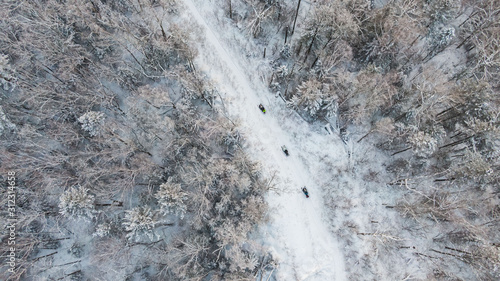 Aerial view of a winter snow-covered pine forest. Winter forest texture.