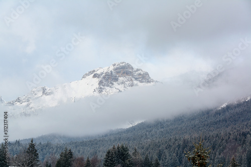 snow storm over Paganella Mountain in Adamello-Brenta National Park, Dolomites, Italy