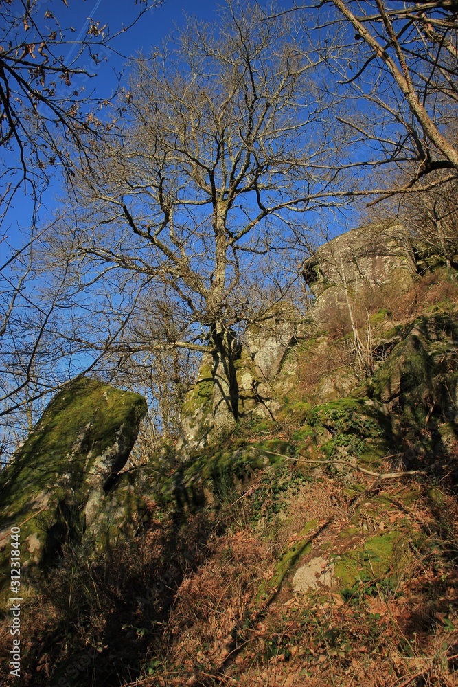 Paysage des gorges de la Vézère.(Corrèze) Paysage des gorges de la Vézère.(Corrèze)