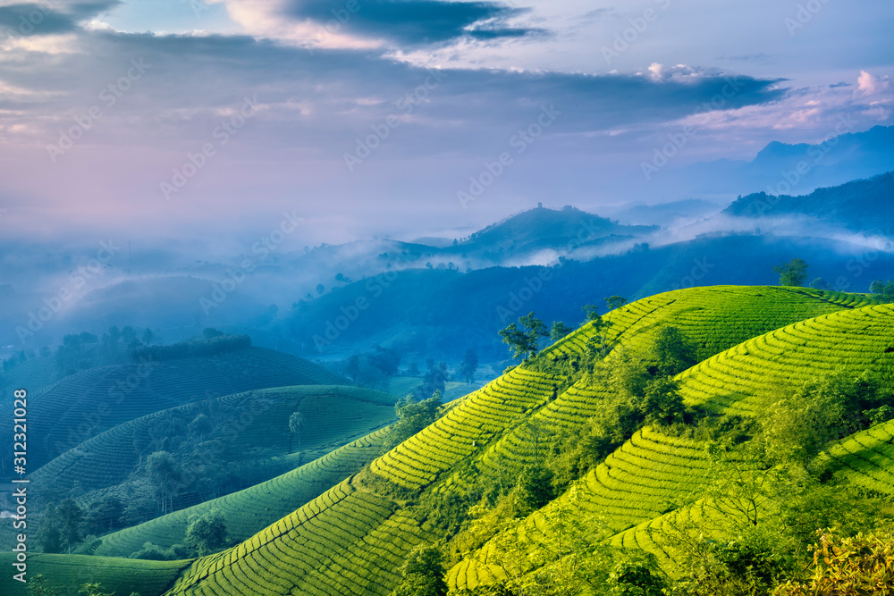 Overview of Long Coc green tea hill, Phu Tho, Vietnam. Overview of Long Coc green tea hill, Phu Tho, Vietnam.