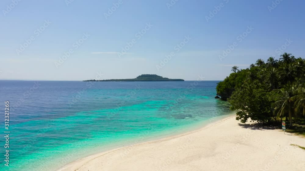 White sand beach and trees. Himokilan Island, Leyte Island, Philippines. Palm trees on the perfect tropical white sand beach. Tropical island with a white sandy beach, top view. White sand beach and trees. Himokilan Island, Leyte Island, Philippines. Palm trees on the perfect tropical white sand beach. Tropical island with a white sandy beach, top view.