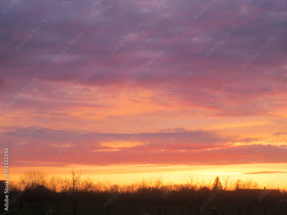 sunset over the field
