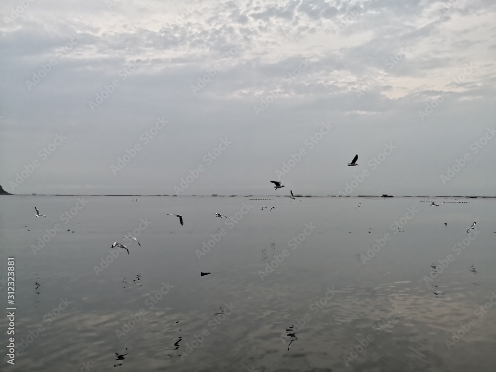 silent sea, mangrove forest in rainy sky silent sea, mangrove forest in rainy sky