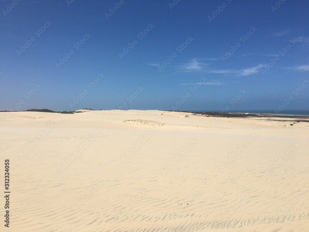 sand dunes in the desert