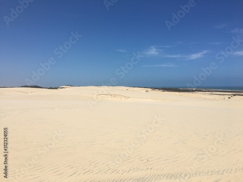 sand dunes in the desert