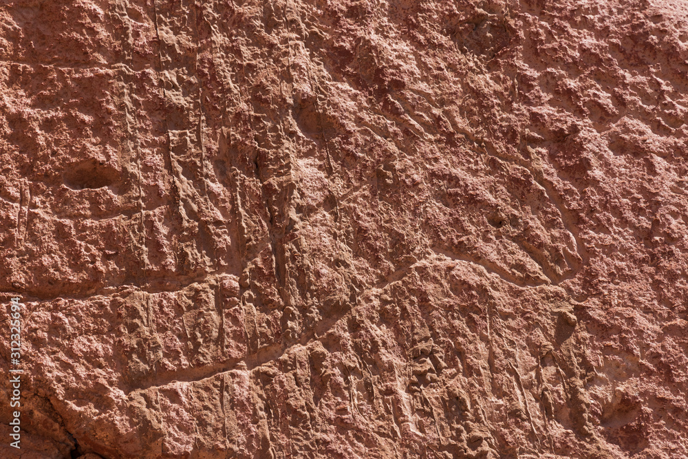 Petroglyph at Jere Valley near San Pedro de Atacama in Chile.