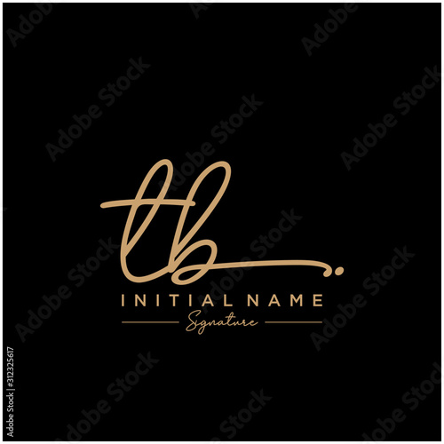 Letter TB Signature Logo Template Vector