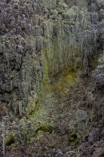 Wai-O-Tapu thermal park. Rotorua NewZealand. Volcanic park