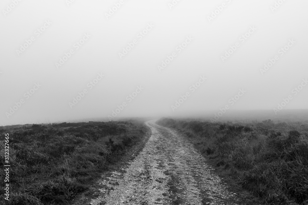 Naklejka premium la route dans le brouillard