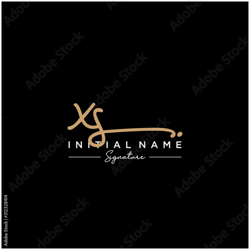 Letter XS Signature Logo Template Vector