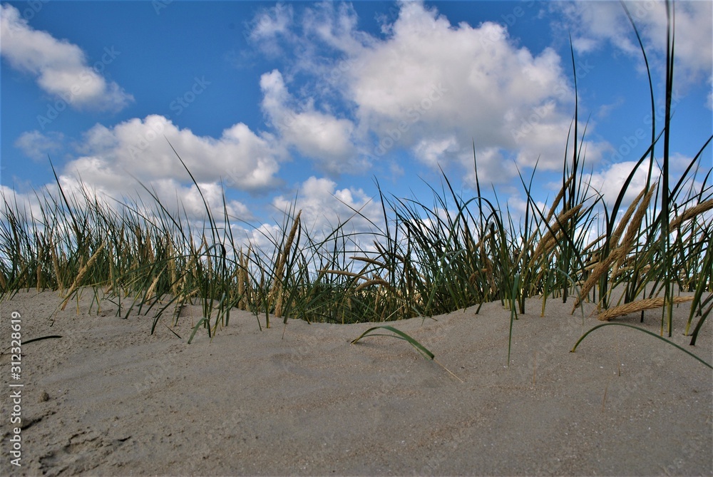 Romo Peninsula - Fantastic beach in denmark. Nice and sunny day with green grass on the ground