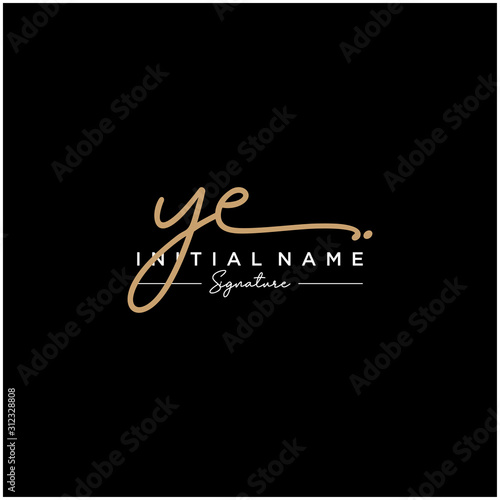 Letter YE Signature Logo Template Vector