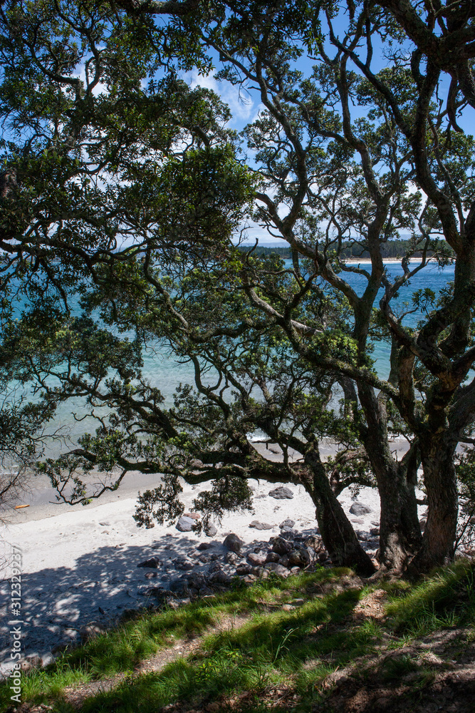 Mount Maunganui Tauranga New Zealand. Coast Mount Maunganui Tauranga New Zealand. Coast