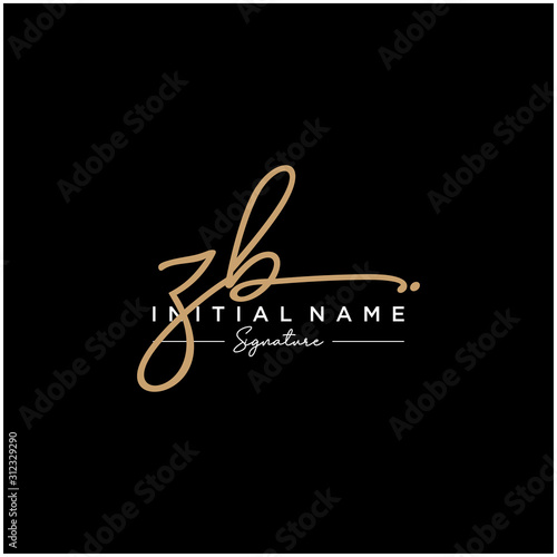 Letter ZB Signature Logo Template Vector