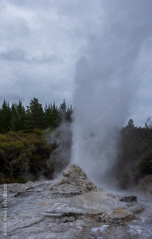 Geyser. Rotorua New Zealand Thermal Park. Wai-o-tapu. Thermal wonderland. Volcanism. 