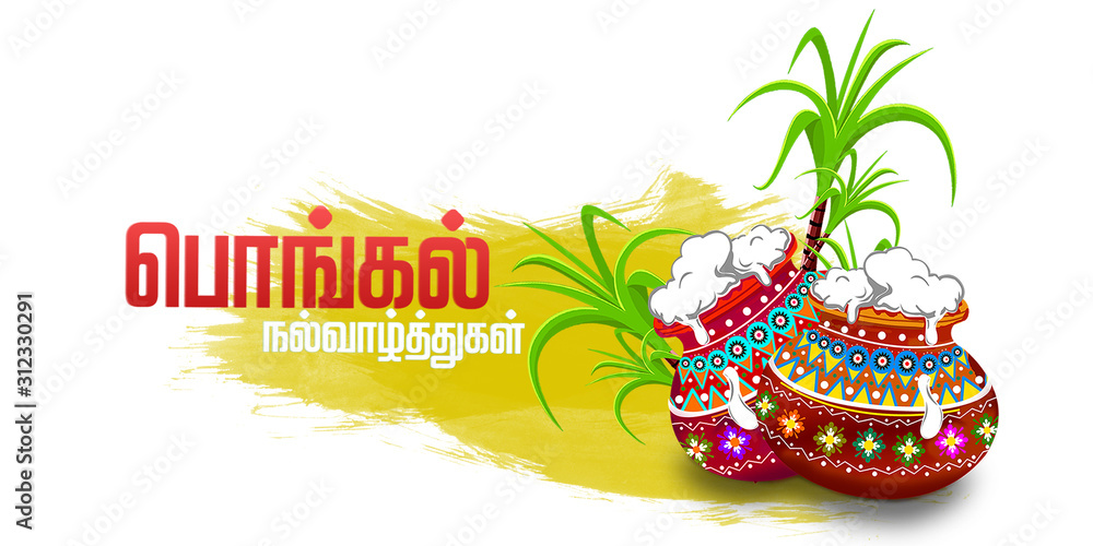 South Indian Festival Pongal Background Template Design Illustration -  Pongal Festival Background and elements with translate Tamil text Happy  Pongal Stock Illustration | Adobe Stock