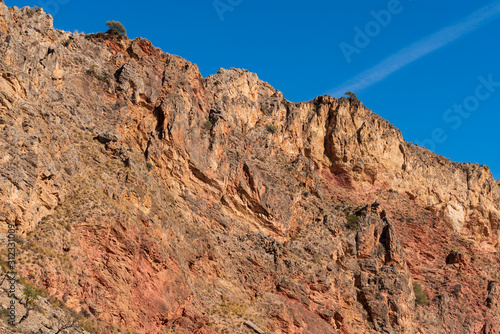 Tagus of Escariantes in the area of ​​Ugijar