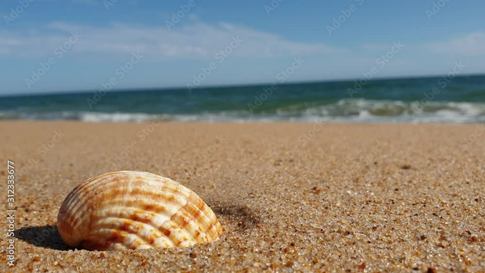 Amazing view shell beach  Algarve Portugal