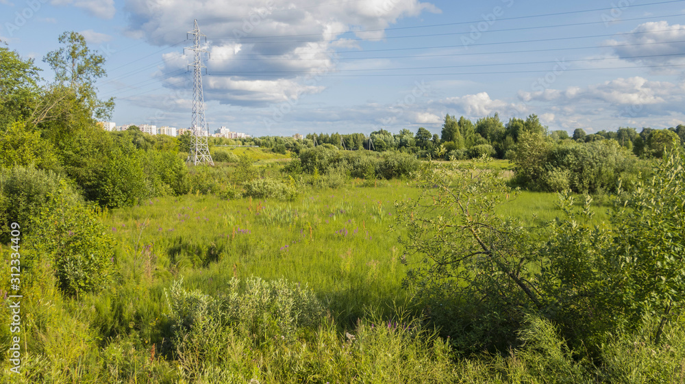 Green field of green grass with flowers spring summer meadow landscape with sky and clouds city park in town Green field of green grass with flowers spring summer meadow landscape with sky and clouds city park in town