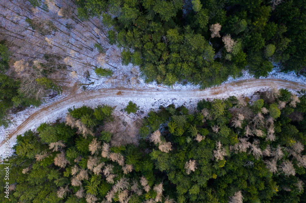 Aerial view of snowy winter forest with a road Aerial view of snowy winter forest with a road