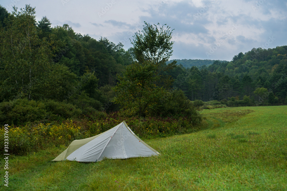 Camping in a Field