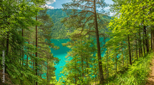 Panoramic view over lake Weissensee in Austria in summer during daytime