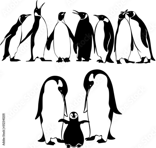 King penguin and Emperor penguin silhouette illustration bird different pose set
