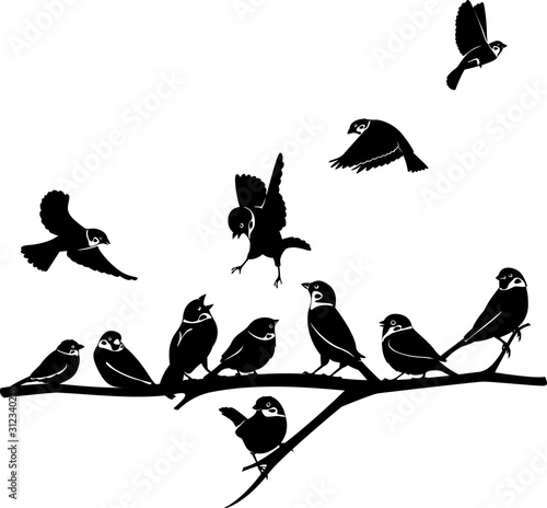 Sparrow silhouette illustration bird different pose set