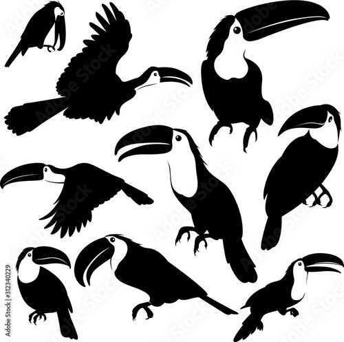 Toucan silhouette illustration bird different pose set