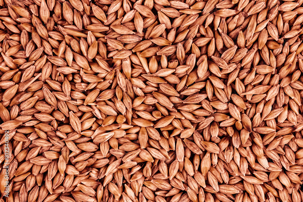 brown rye seeds background harvest bakery brewing base pattern brown rye seeds background harvest bakery brewing base pattern